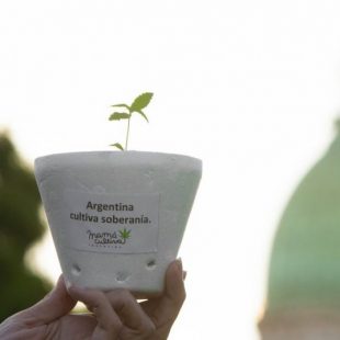 Se hicieron presentes en la Legislatura para que se sancione la Ley de Cannabis