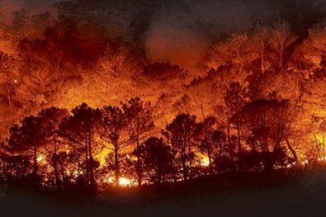 «Los incendios cambiaron para siempre la vida de la comarca andina»