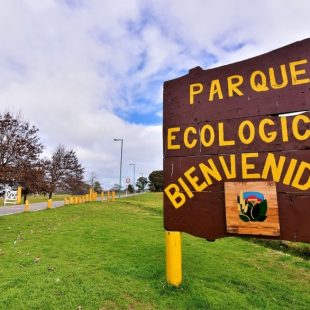 Abrió un Centro de Recolección de Aceite Vegetal Usado para reciclar