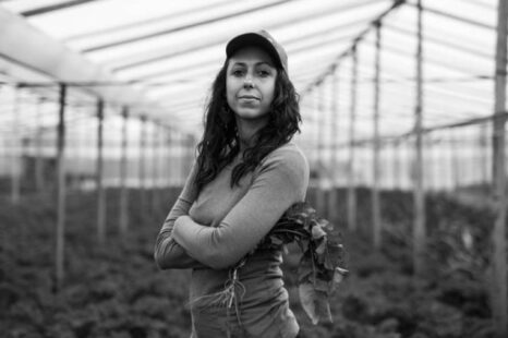 Fue lanzada la Mesa Agroalimentaria Argentina, ¿De qué trata?