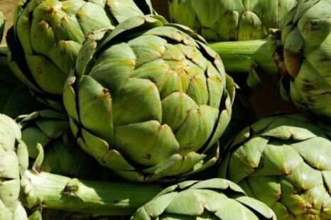 Después de dos años vuelve la fiesta del Alcaucil